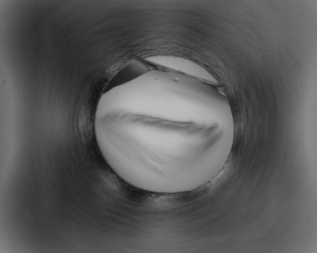 X0000086740186200705111642