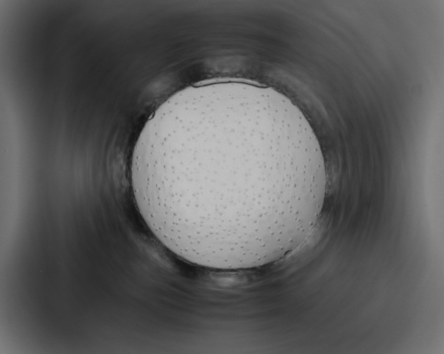 X0000086740187200705111642