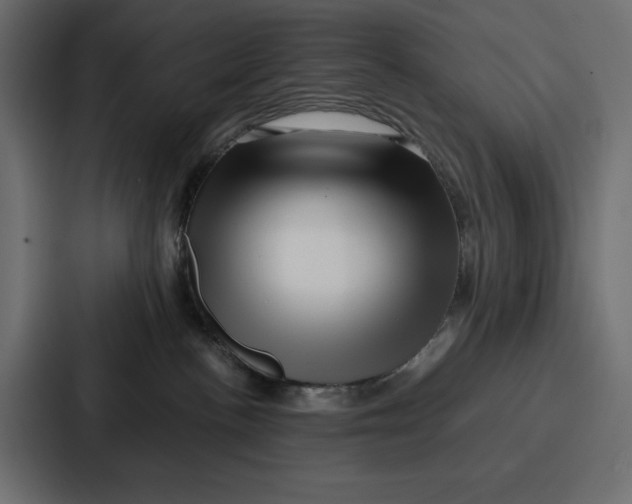 X0000086740188200705111642
