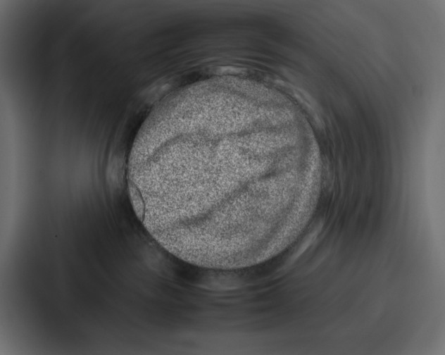 X0000086740189200705111642