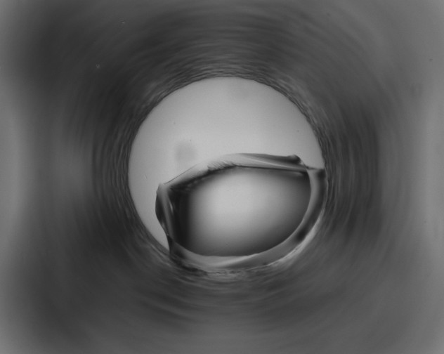 X0000086740190200705111642