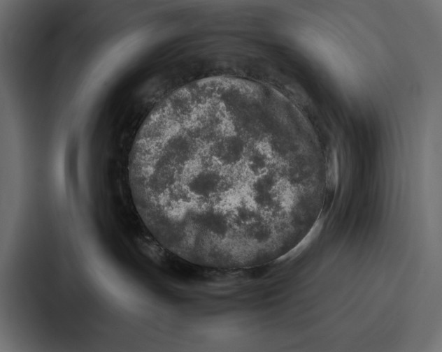 X0000086740191200705111642
