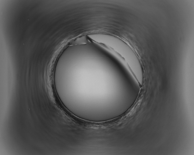 X0000086740193200705111641