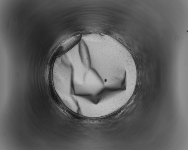 X0000086740194200705111641