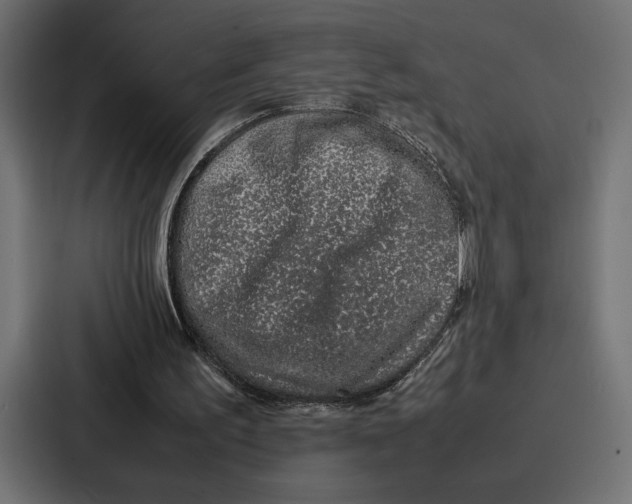 X0000086740195200705111641