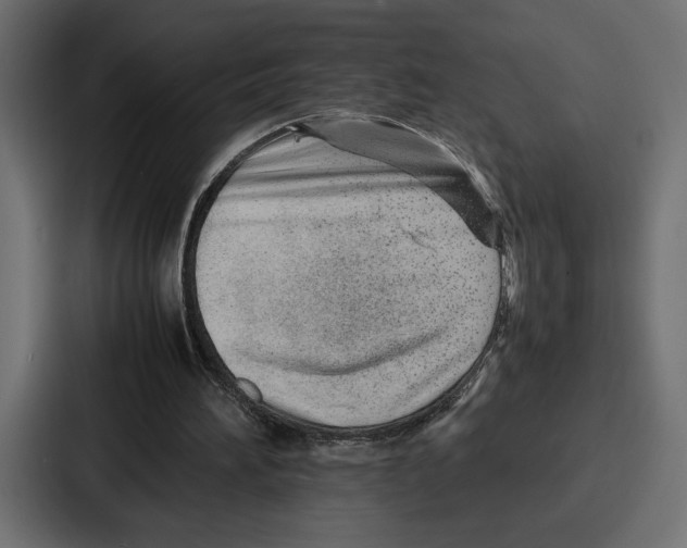 X0000086740196200705111641