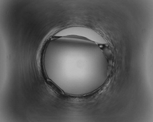 X0000086740197200705111641