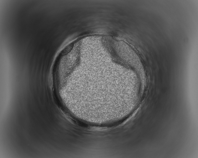 X0000086740198200705111641