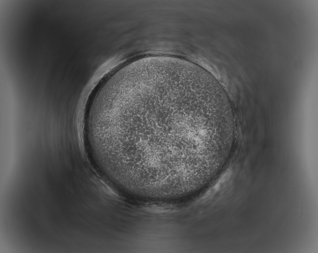 X0000086740199200705111641