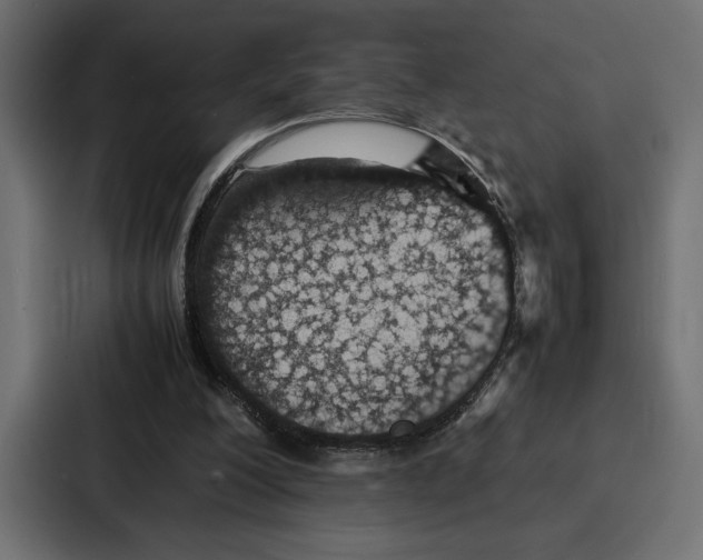 X0000086740200200705111641