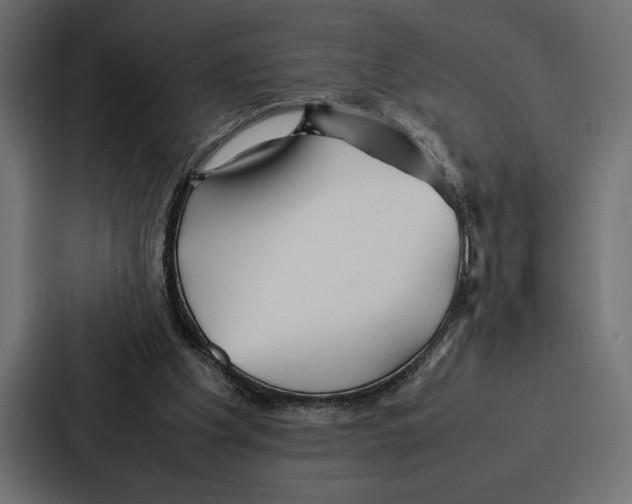X0000086740201200705111641
