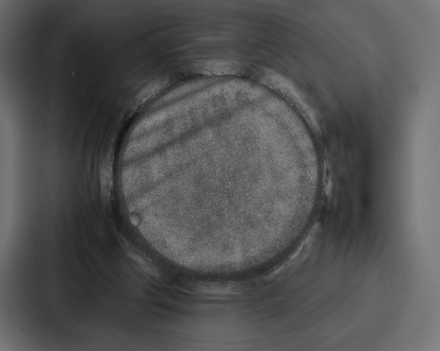 X0000086740202200705111641