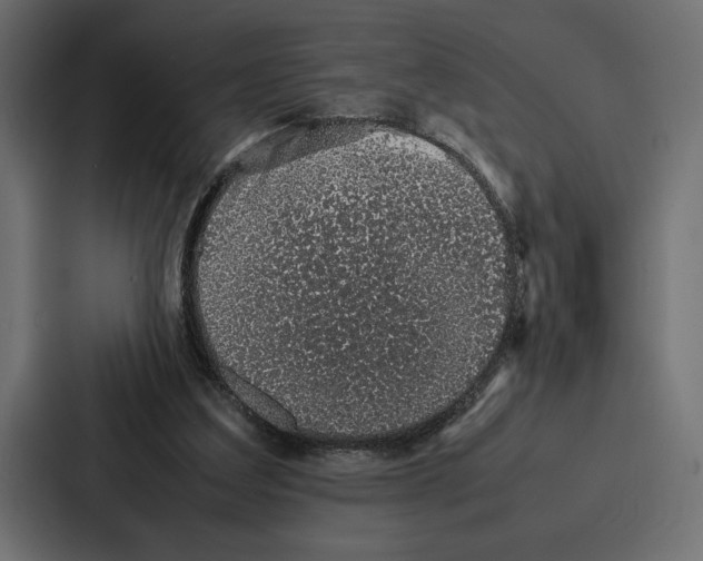 X0000086740203200705111641