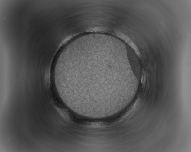 X0000086740204200705111641
