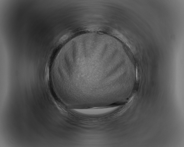 X0000086740205200705111641