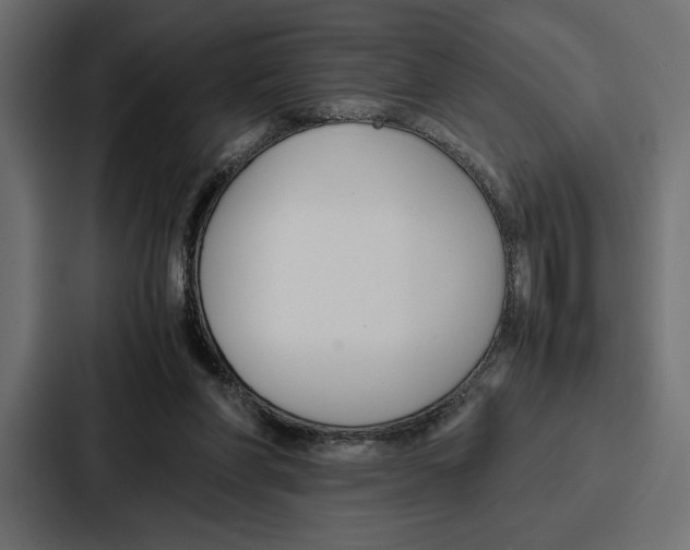 X0000086740206200705111641