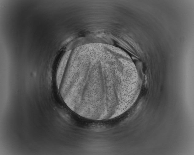 X0000086740207200705111641