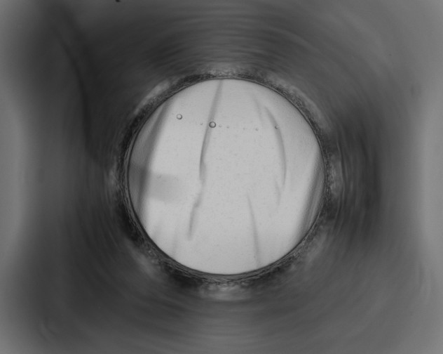 X0000086740208200705111641