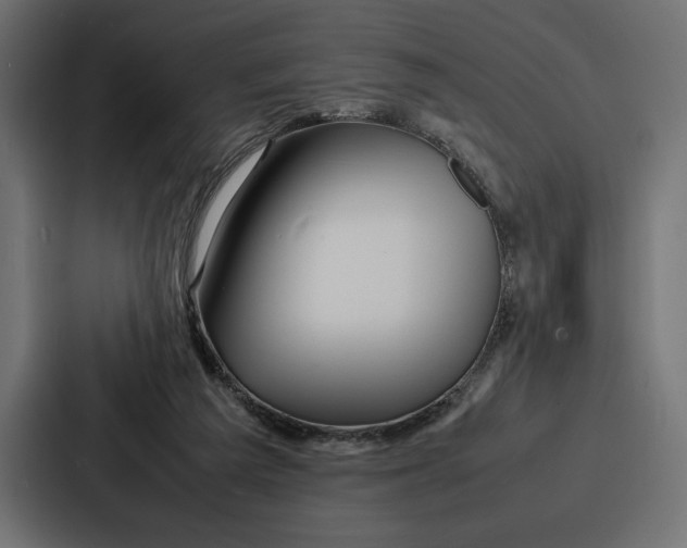X0000086740209200705111641