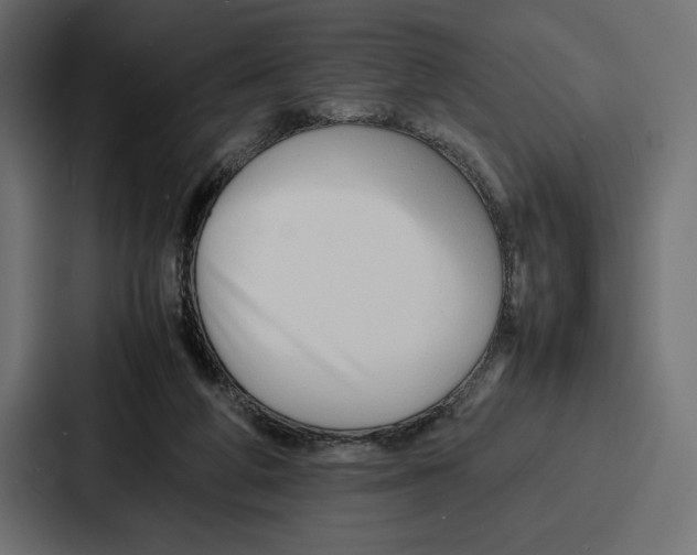 X0000086740210200705111641