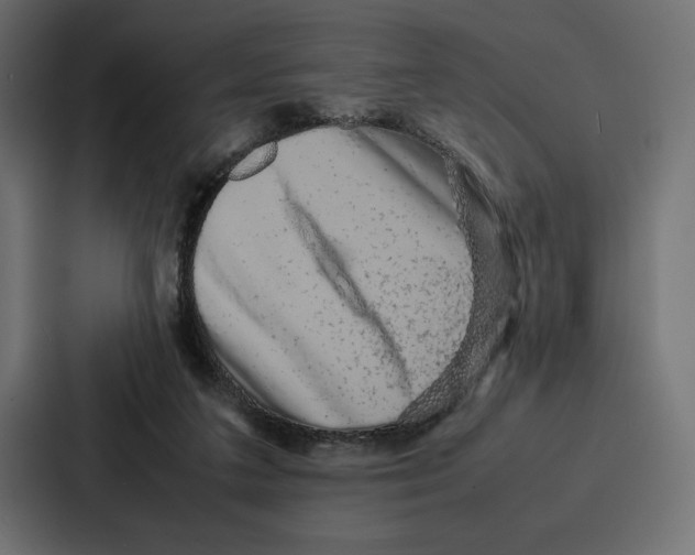 X0000086740211200705111641