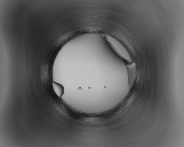 X0000086740212200705111641