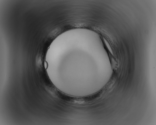 X0000086740214200705111641