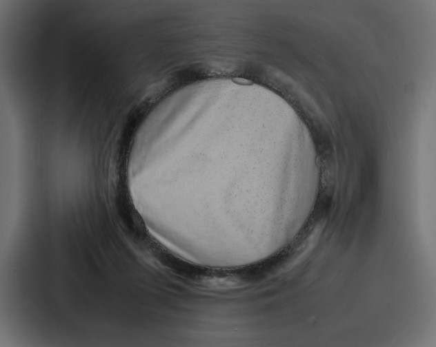 X0000086740215200705111641