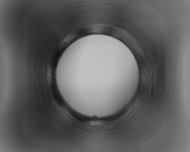 X0000086740216200705111641