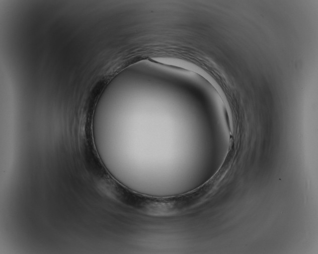 X0000086740217200705111641