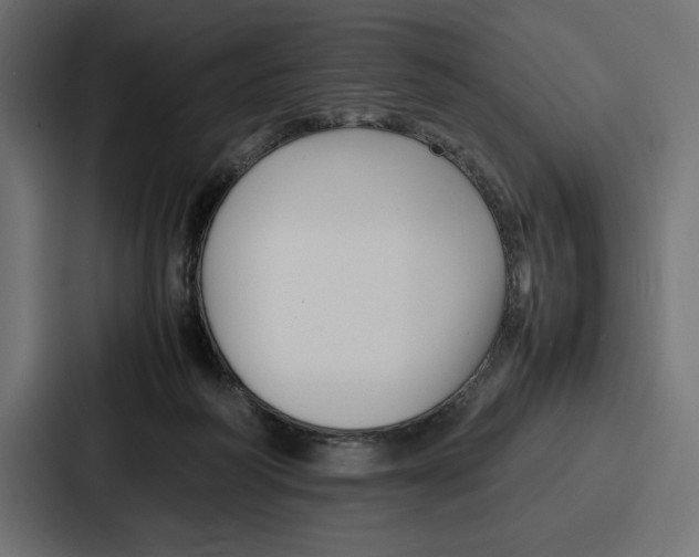 X0000086740218200705111641