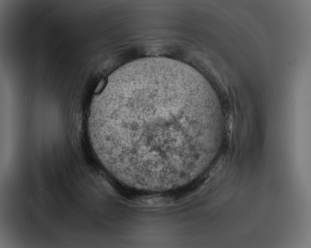 X0000086740219200705111641