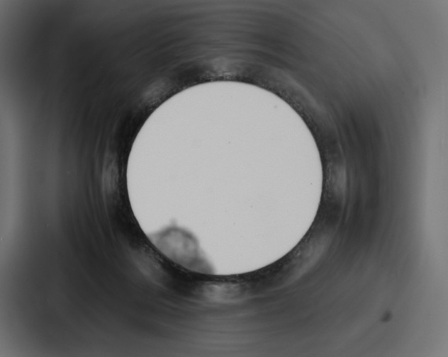 X0000086740220200705111641