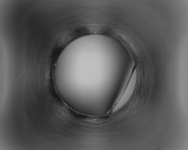 X0000086740221200705111641