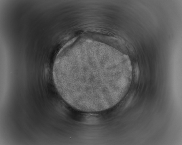 X0000086740222200705111641