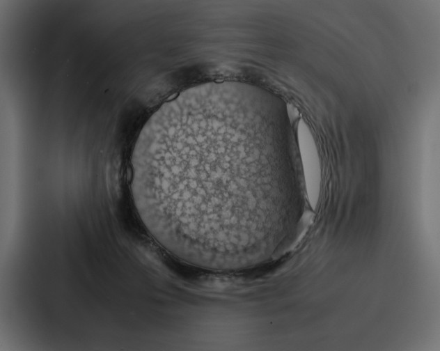 X0000086740223200705111641