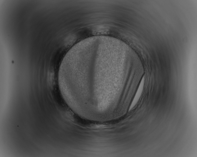X0000086740224200705111641