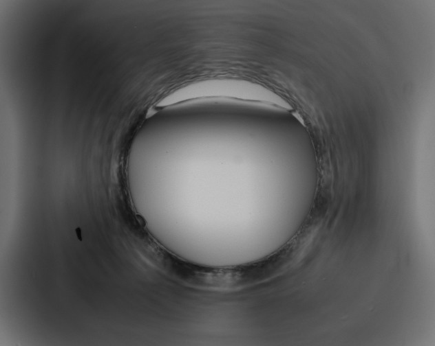 X0000086740225200705111641