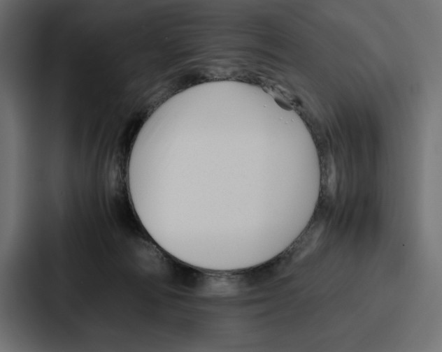X0000086740226200705111641