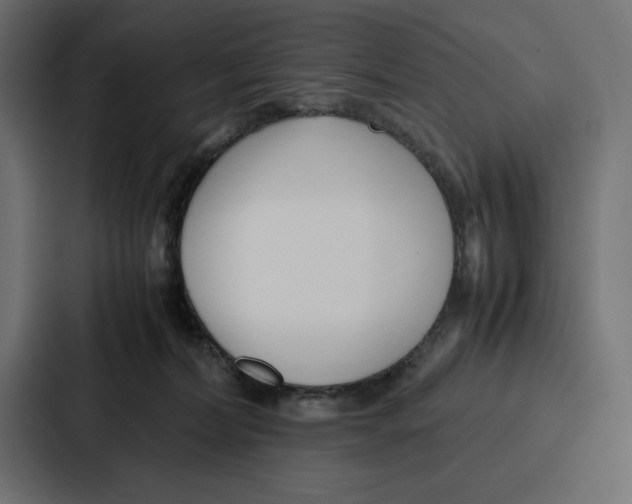 X0000086740228200705111641