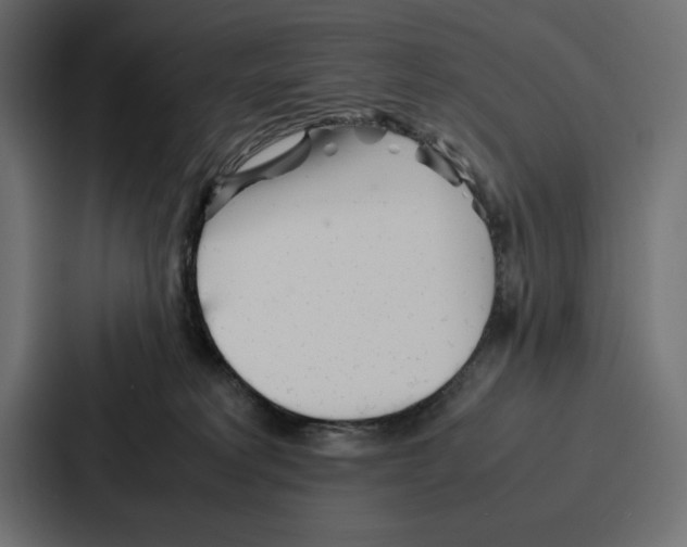X0000086740229200705111641