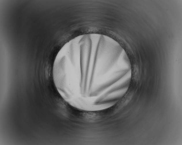 X0000086740230200705111641