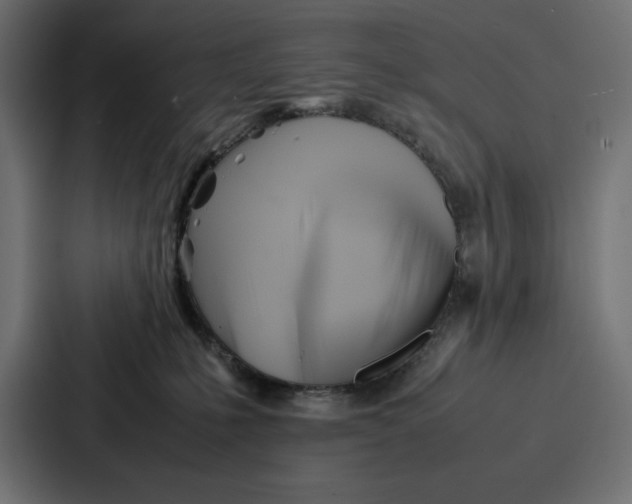 X0000086740231200705111641
