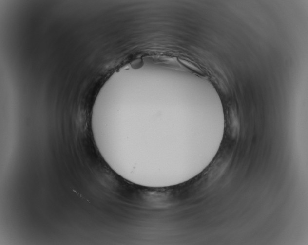 X0000086740232200705111641