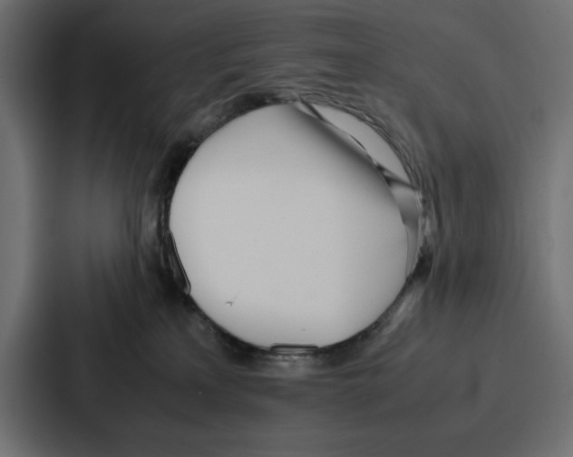 X0000086740233200705111641
