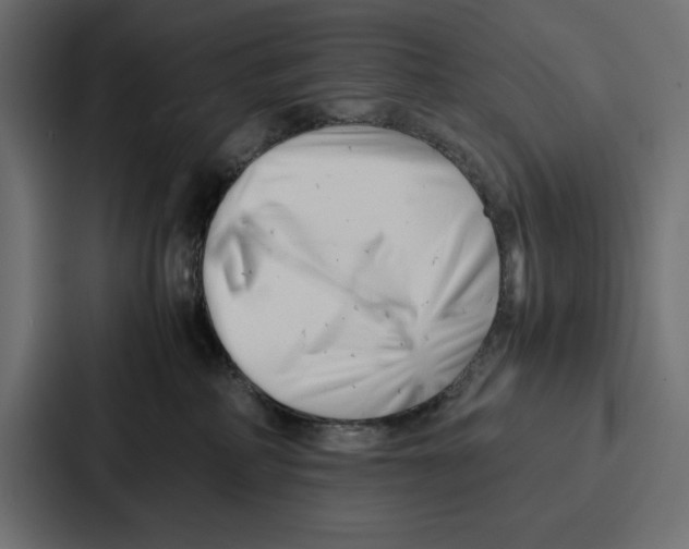 X0000086740234200705111641