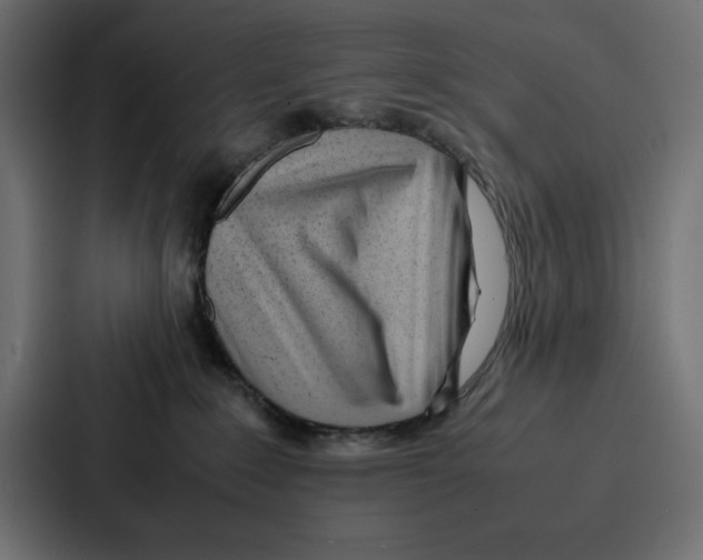 X0000086740235200705111641
