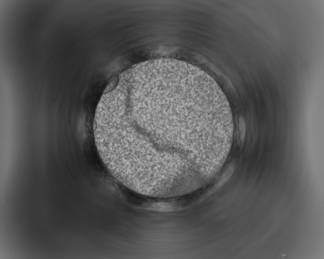 X0000086740236200705111641