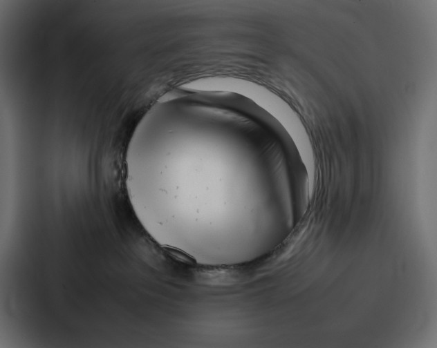 X0000086740237200705111641