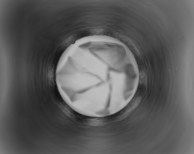 X0000086740238200705111641